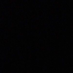 Meet your Posher, Hayden